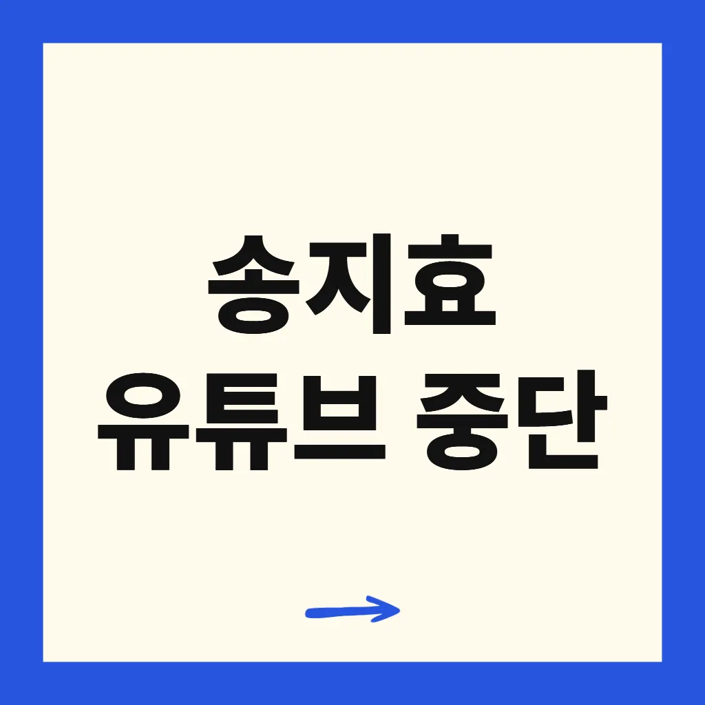 송지효 유튜브 중단