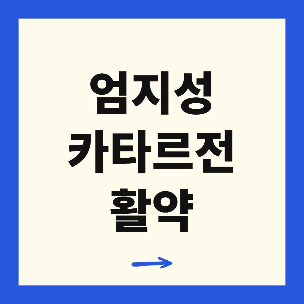 엄지성 카타르전 활약